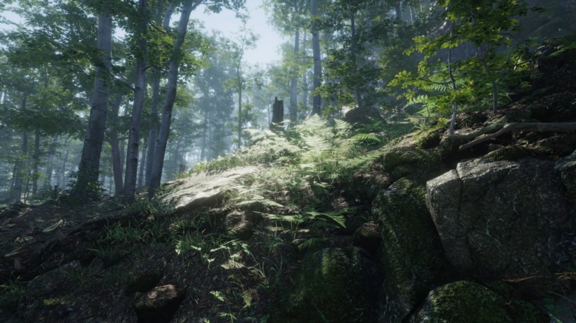 Unity森林环境3D模型资产 Forest Environment - Dynamic Nature v1.8.8.3