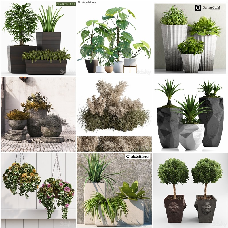 70套植物树木盆栽3D模型合集 3DSky Pro 70 Plants 3D Models Collection