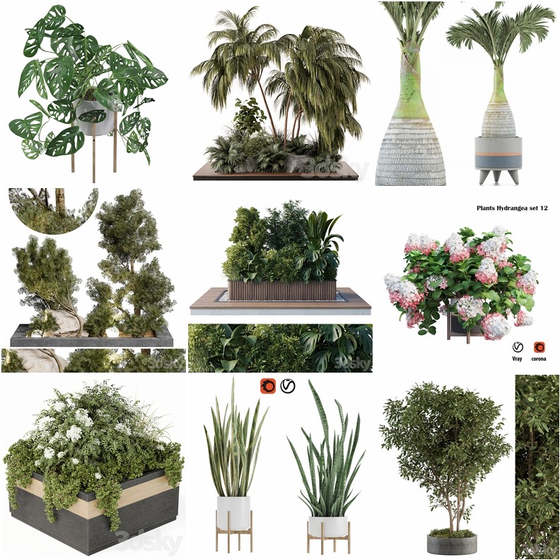 70套植物树木盆栽3D模型合集 3DSky Pro 70 Plants 3D Models Collection