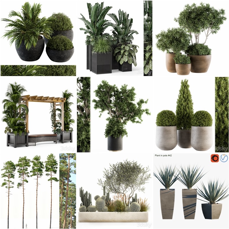 70套植物树木盆栽3D模型合集 3DSky Pro 70 Plants 3D Models Collection