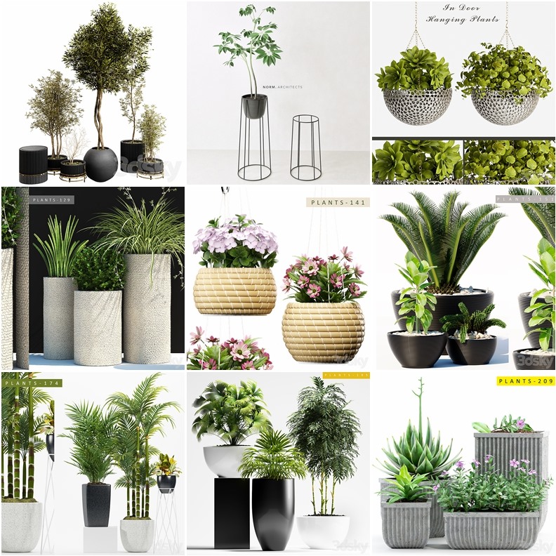 70套植物树木盆栽3D模型合集 3DSky Pro 70 Plants 3D Models Collection