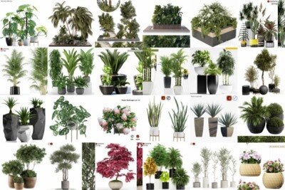 70套植物树木盆栽3D模型合集 3DSky Pro 70 Plants 3D Models Collection