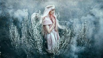 从拍摄到后期处理的美术概念摄影 Fine Art Conceptual Photography from Shoot through Post Processing