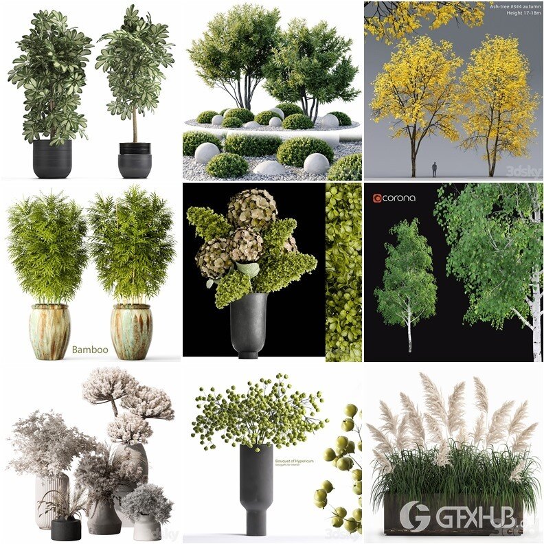 62套植物树木盆栽3D模型合集 3DSky Pro 62 Plants 3D Models Collection