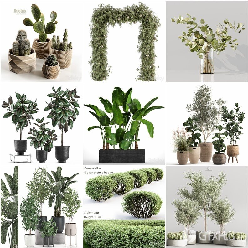 62套植物树木盆栽3D模型合集 3DSky Pro 62 Plants 3D Models Collection