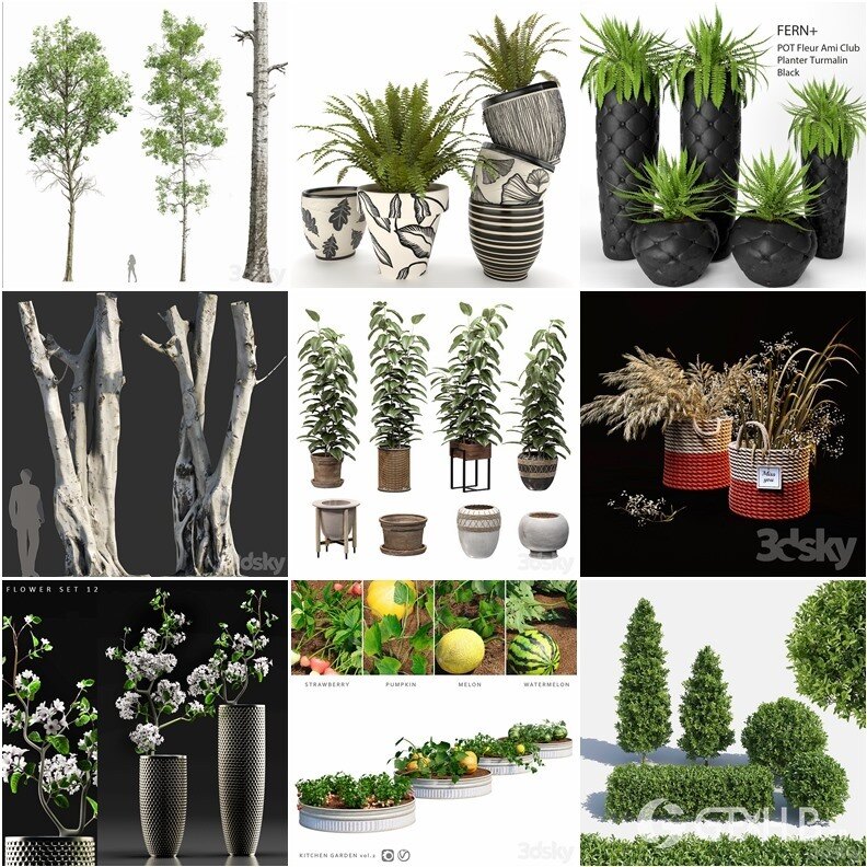 62套植物树木盆栽3D模型合集 3DSky Pro 62 Plants 3D Models Collection