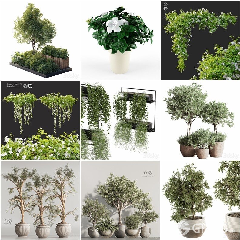 62套植物树木盆栽3D模型合集 3DSky Pro 62 Plants 3D Models Collection