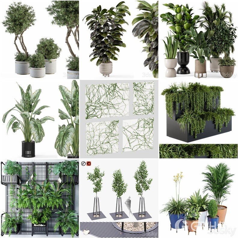 62套植物树木盆栽3D模型合集 3DSky Pro 62 Plants 3D Models Collection