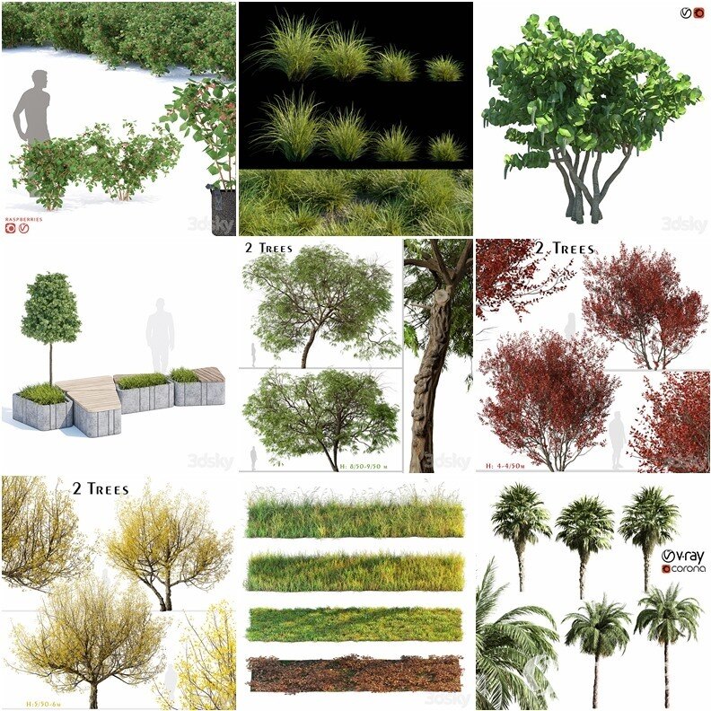 62套植物树木盆栽3D模型合集 3DSky Pro 62 Plants 3D Models Collection