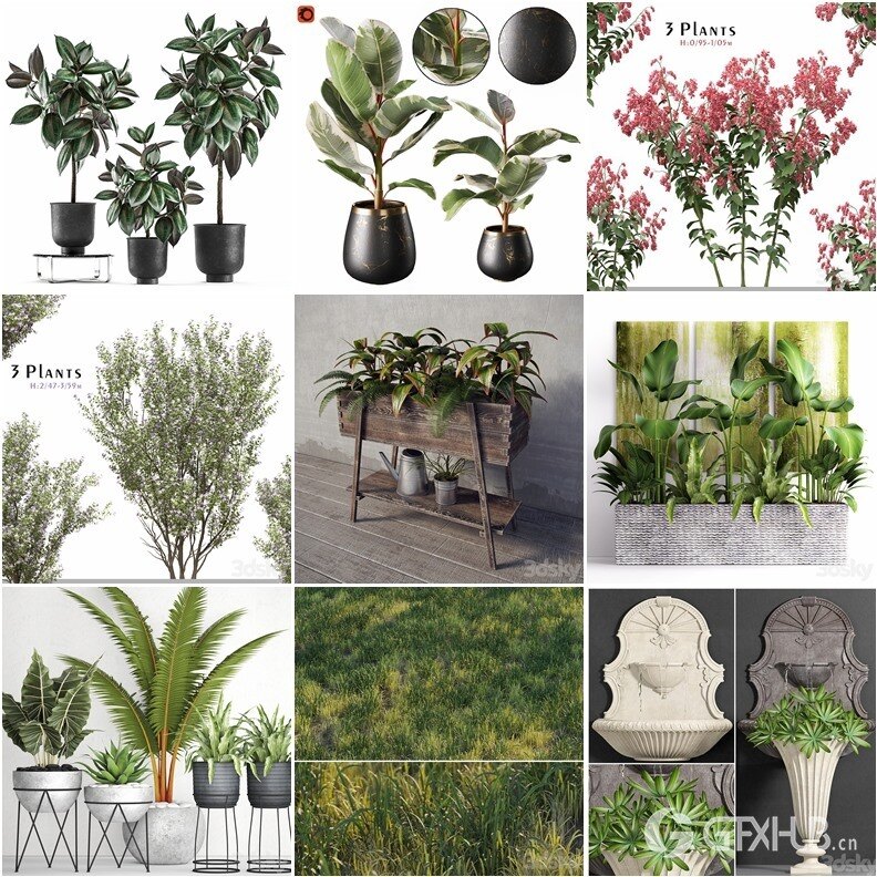 62套植物树木盆栽3D模型合集 3DSky Pro 62 Plants 3D Models Collection