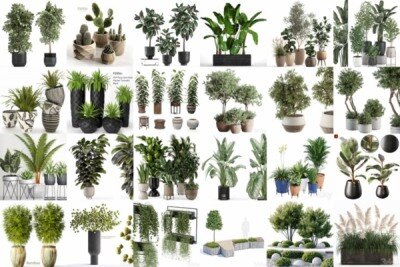 62套植物树木盆栽3D模型合集 3DSky Pro 62 Plants 3D Models Collection