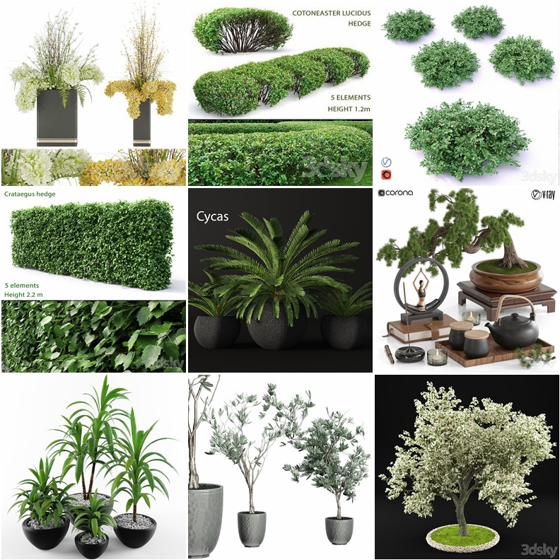 65套植物树木盆栽3D模型合集 3DSky Pro 65 Plants 3D Models Collection