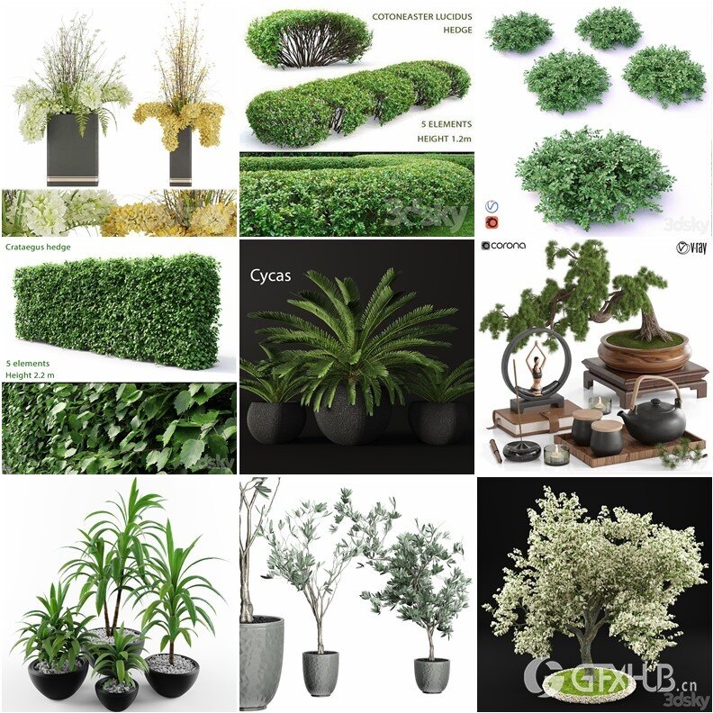 65套植物树木盆栽3D模型合集 3DSky Pro 65 Plants 3D Models Collection