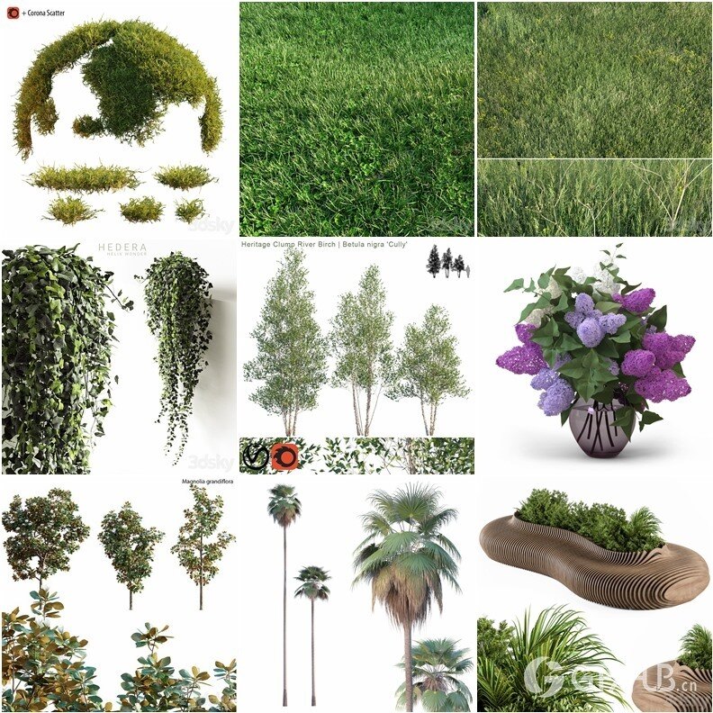 65套植物树木盆栽3D模型合集 3DSky Pro 65 Plants 3D Models Collection