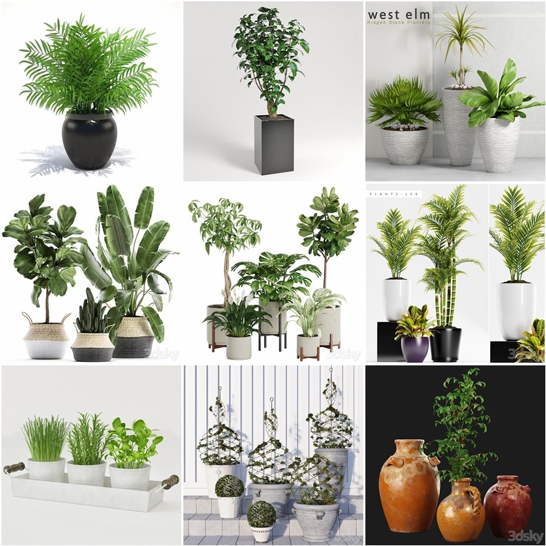 65套植物树木盆栽3D模型合集 3DSky Pro 65 Plants 3D Models Collection