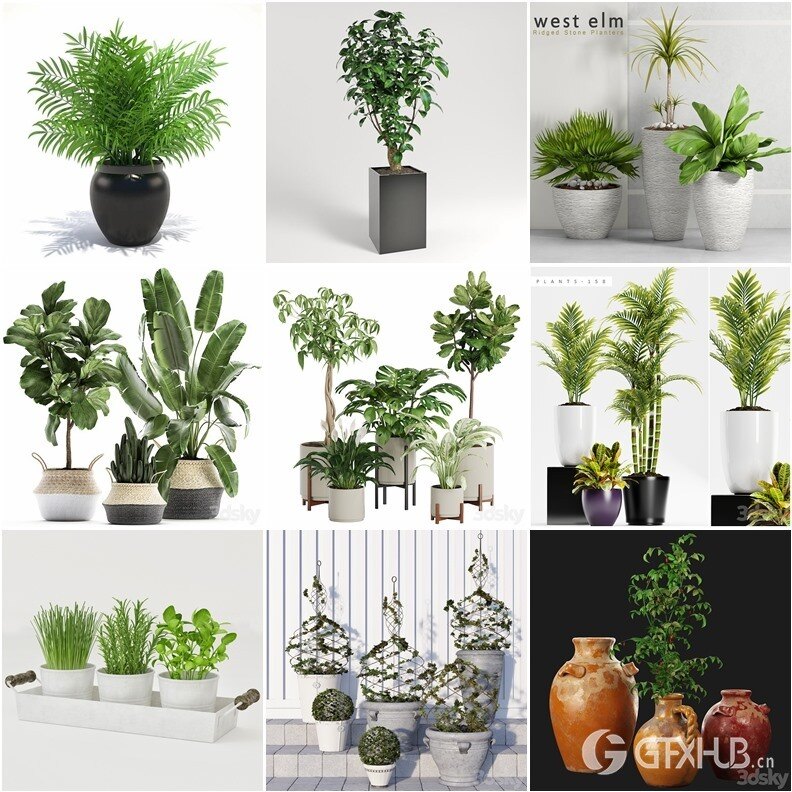 65套植物树木盆栽3D模型合集 3DSky Pro 65 Plants 3D Models Collection