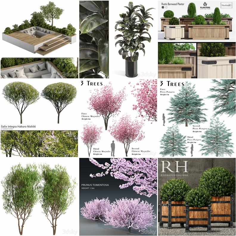 65套植物树木盆栽3D模型合集 3DSky Pro 65 Plants 3D Models Collection