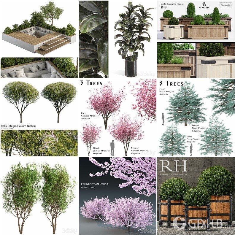65套植物树木盆栽3D模型合集 3DSky Pro 65 Plants 3D Models Collection