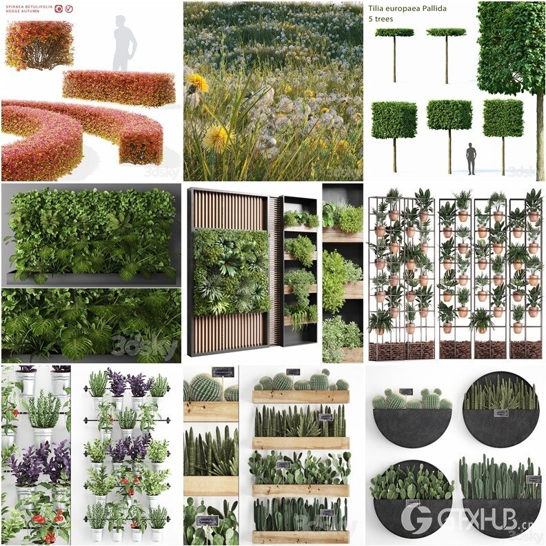 65套植物树木盆栽3D模型合集 3DSky Pro 65 Plants 3D Models Collection