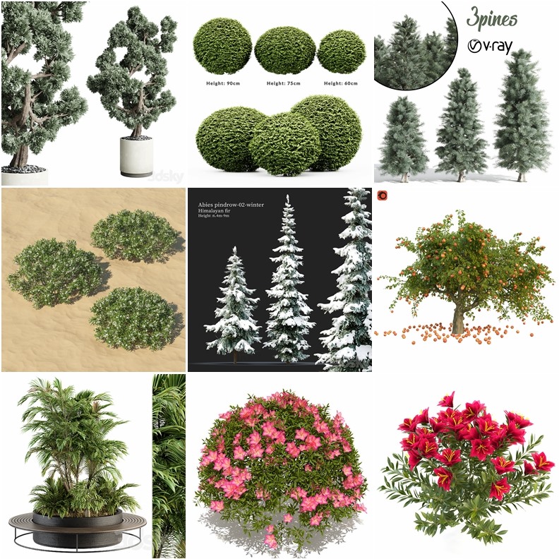 65套植物树木盆栽3D模型合集 3DSky Pro 65 Plants 3D Models Collection
