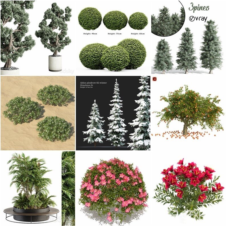 65套植物树木盆栽3D模型合集 3DSky Pro 65 Plants 3D Models Collection