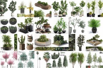 65套植物树木盆栽3D模型合集 3DSky Pro 65 Plants 3D Models Collection