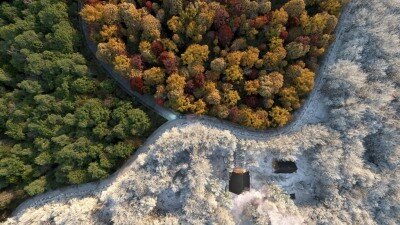 120 个夏季、秋季和冬季树木3D模型 Evermotion – Archmodels vol. 258