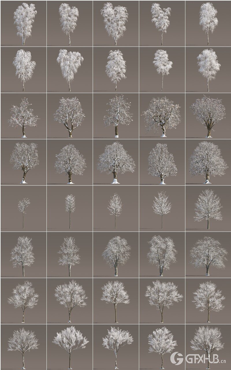 120 个夏季、秋季和冬季树木3D模型 Evermotion - Archmodels vol. 258