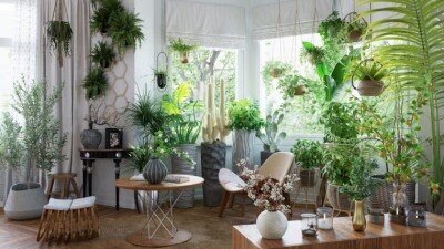 46套室内植物盆栽3D模型集合 Evermotion – Archmodels vol.260