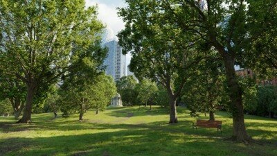 60个专业高质量树木3D模型 Evermotion – Archmodels vol.255