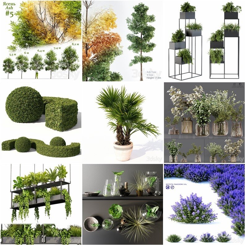 96套植物树木盆栽3D模型合集 3DSky Pro 96 Plants 3D Models Collection