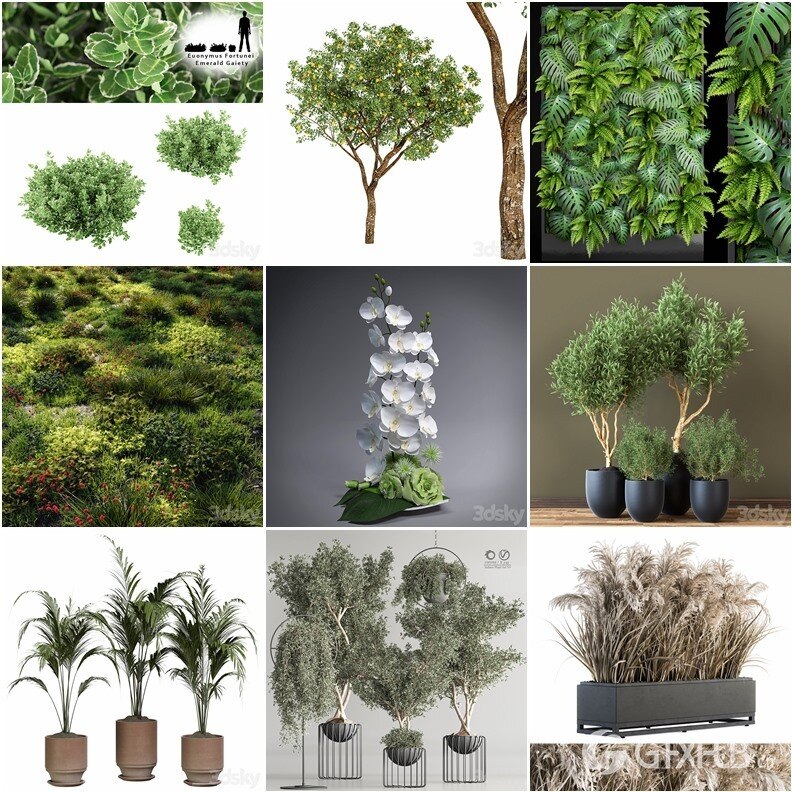 96套植物树木盆栽3D模型合集 3DSky Pro 96 Plants 3D Models Collection