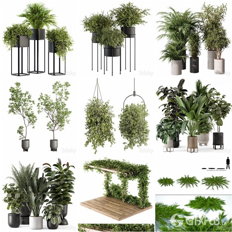 96套植物树木盆栽3D模型合集 3DSky Pro 96 Plants 3D Models Collection