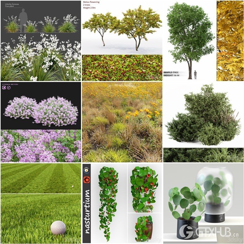 96套植物树木盆栽3D模型合集 3DSky Pro 96 Plants 3D Models Collection
