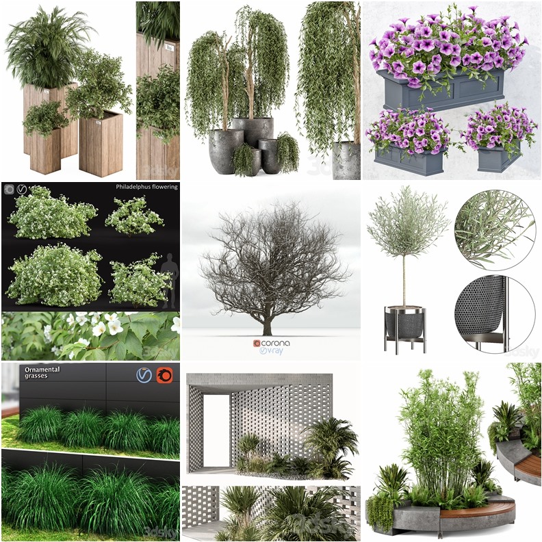96套植物树木盆栽3D模型合集 3DSky Pro 96 Plants 3D Models Collection