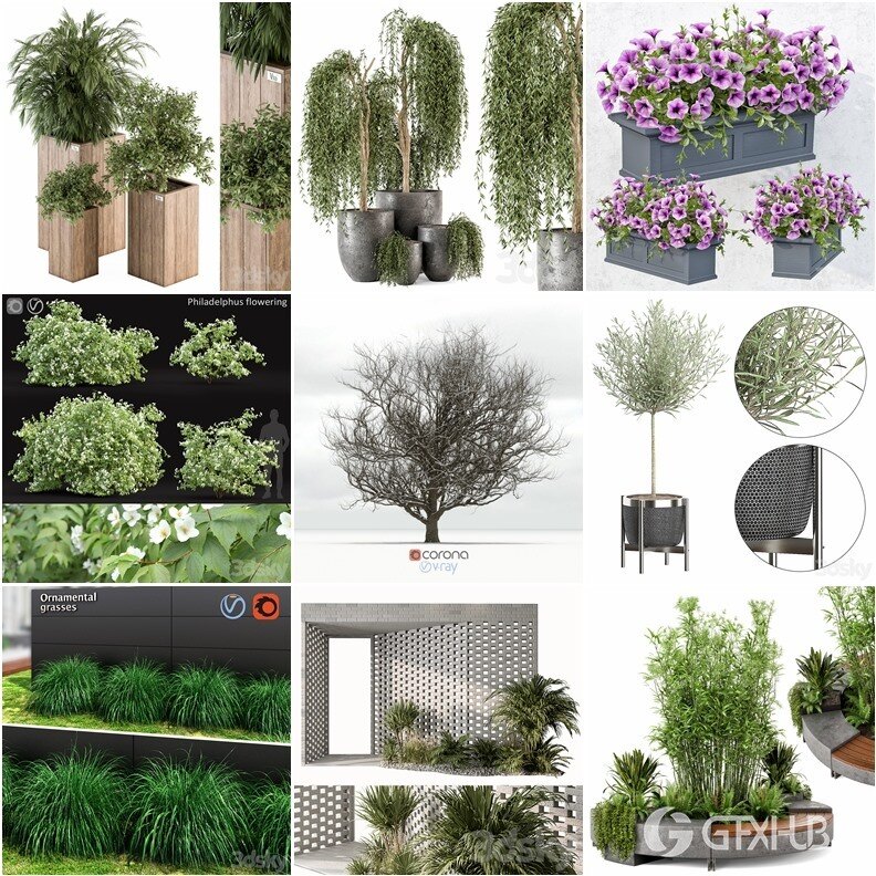 96套植物树木盆栽3D模型合集 3DSky Pro 96 Plants 3D Models Collection