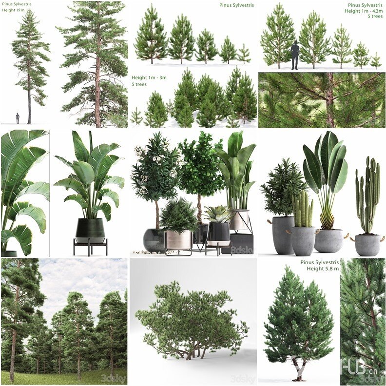 96套植物树木盆栽3D模型合集 3DSky Pro 96 Plants 3D Models Collection