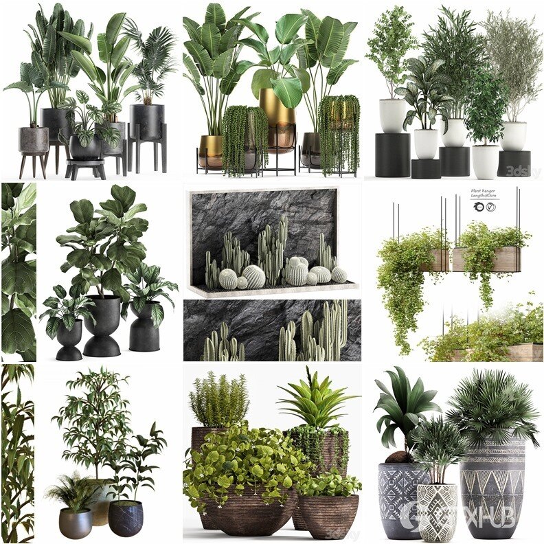 96套植物树木盆栽3D模型合集 3DSky Pro 96 Plants 3D Models Collection
