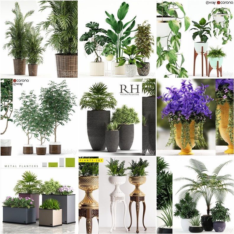 96套植物树木盆栽3D模型合集 3DSky Pro 96 Plants 3D Models Collection