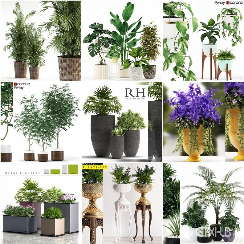 96套植物树木盆栽3D模型合集 3DSky Pro 96 Plants 3D Models Collection