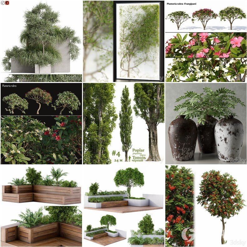 96套植物树木盆栽3D模型合集 3DSky Pro 96 Plants 3D Models Collection
