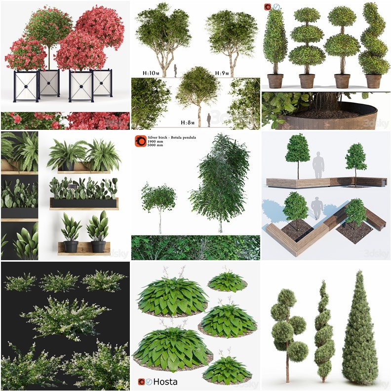96套植物树木盆栽3D模型合集 3DSky Pro 96 Plants 3D Models Collection
