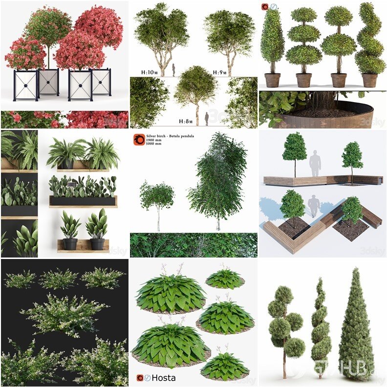 96套植物树木盆栽3D模型合集 3DSky Pro 96 Plants 3D Models Collection