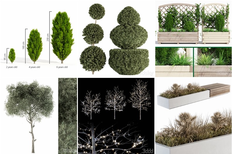 96套植物树木盆栽3D模型合集 3DSky Pro 96 Plants 3D Models Collection