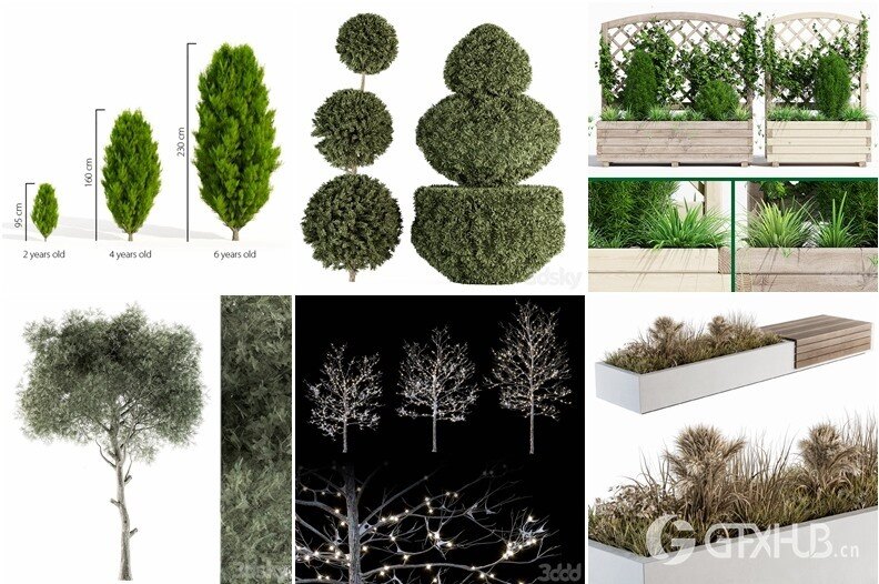 96套植物树木盆栽3D模型合集 3DSky Pro 96 Plants 3D Models Collection
