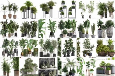 96套植物树木盆栽3D模型合集 3DSky Pro 96 Plants 3D Models Collection