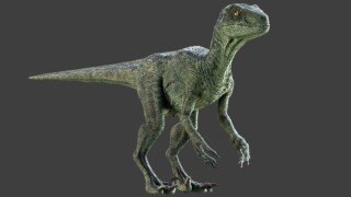 Raptor Maya Rig 迅猛龙骨骼绑定 3D 模型
