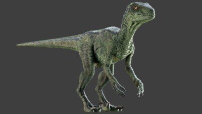 Maya迅猛龙恐龙3D模型 Raptor Maya Rig