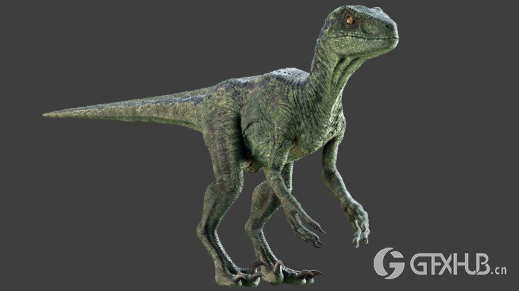Maya迅猛龙恐龙3D模型 Raptor Maya Rig