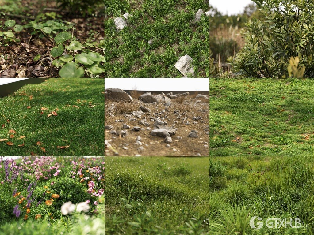 3Ds Max草地植物3D模型 NM-Lab System for 3ds Max GR01-10